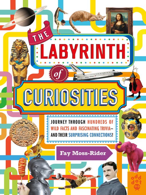 Title details for The Labyrinth of Curiosities by Fay Moss-Rider - Available